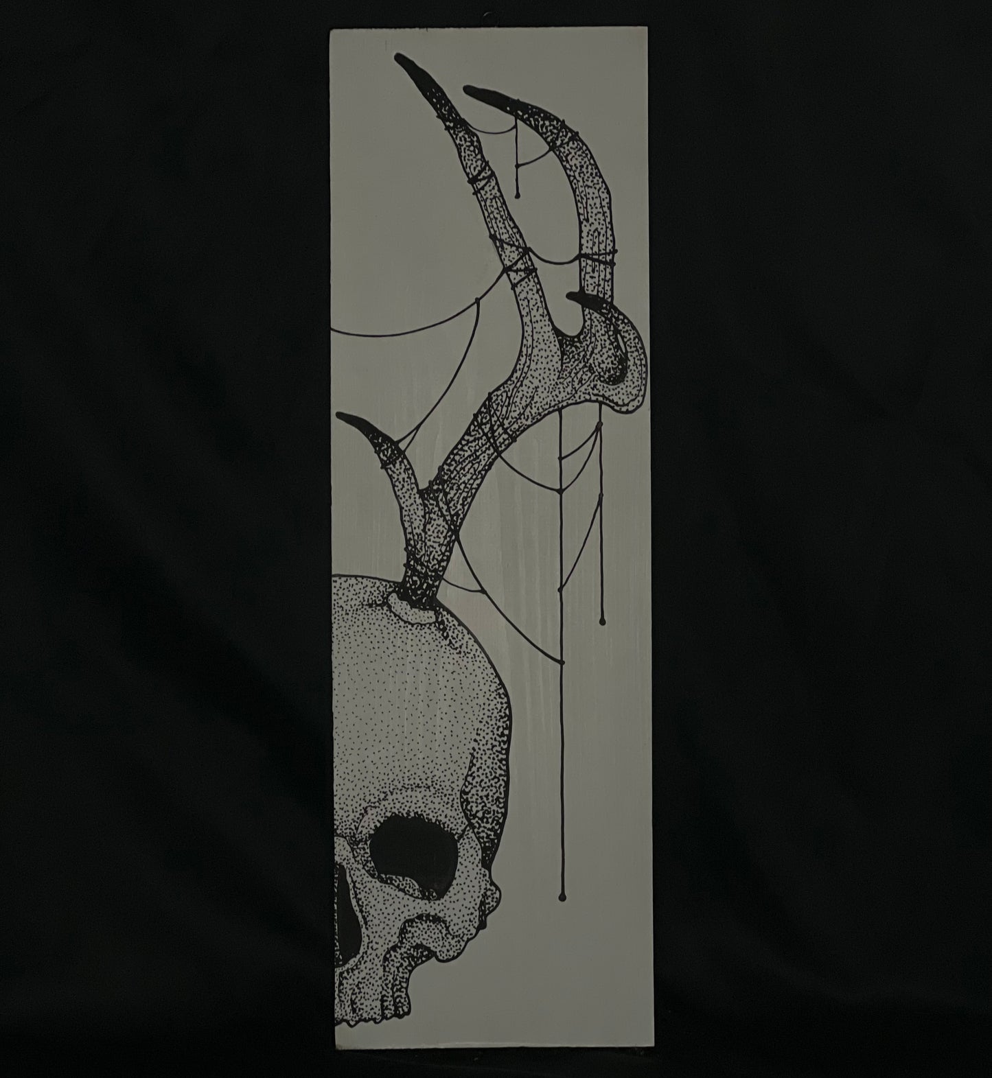 Clearance Antler Skull