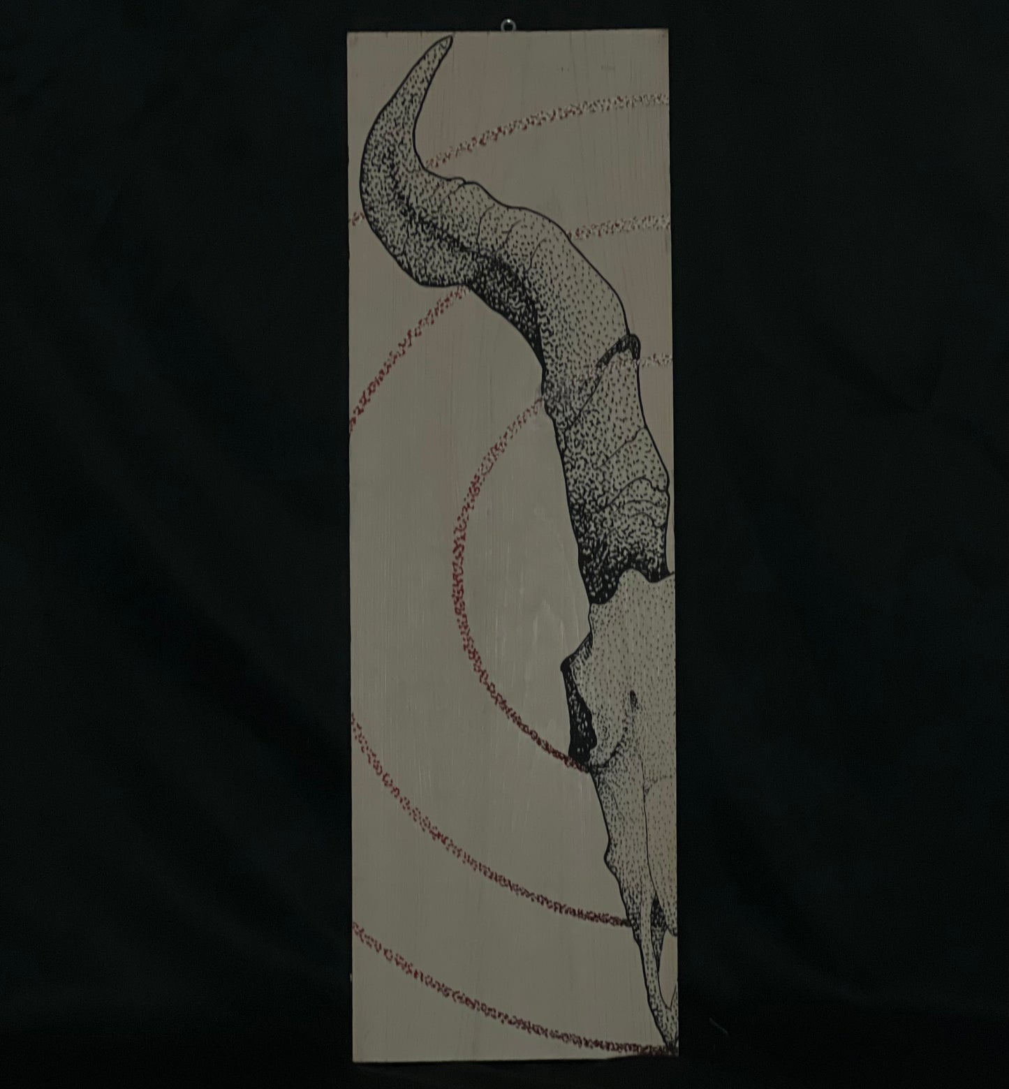 Clearance Goat Skull