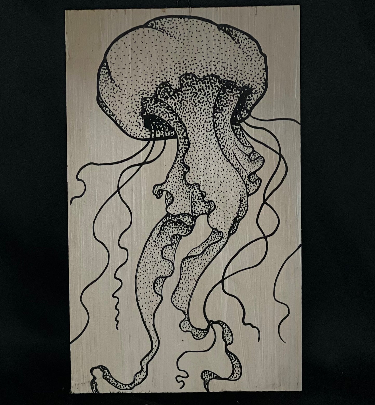 Clearance Jellyfish