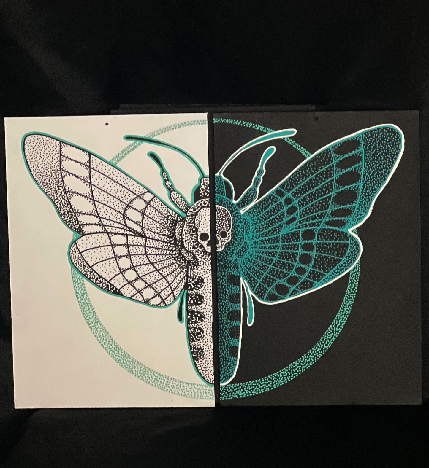 Deathhead Moth