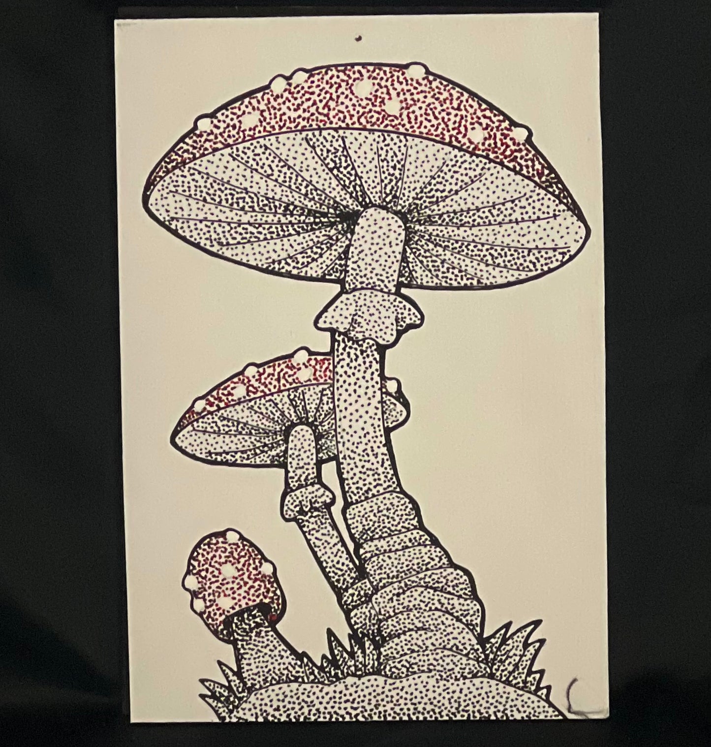 Mushroom