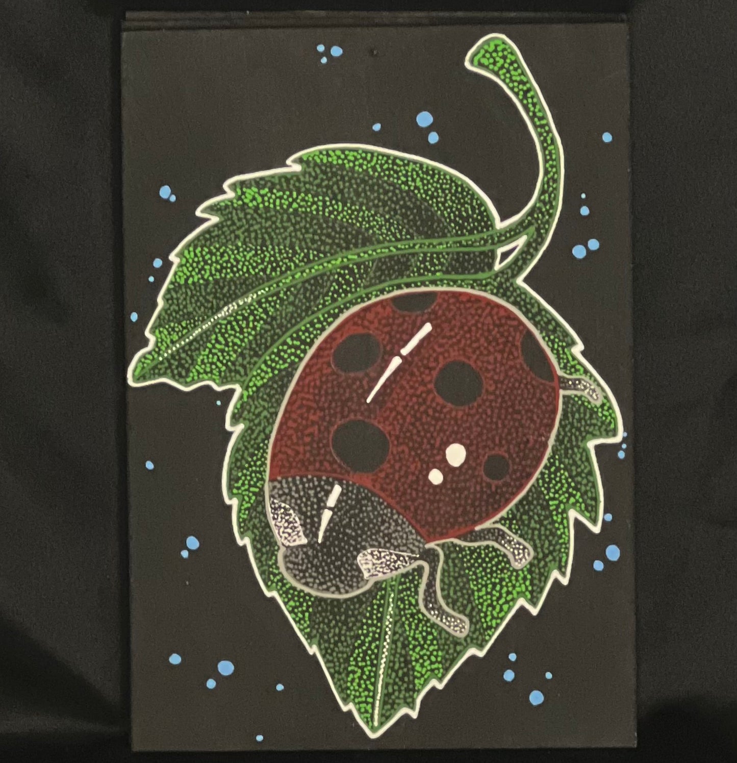 Lady Bug