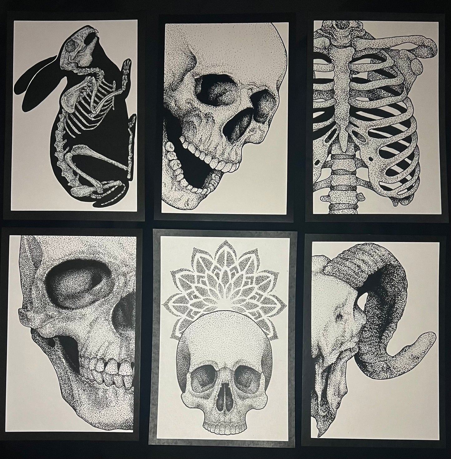 Print Pack Skeletal