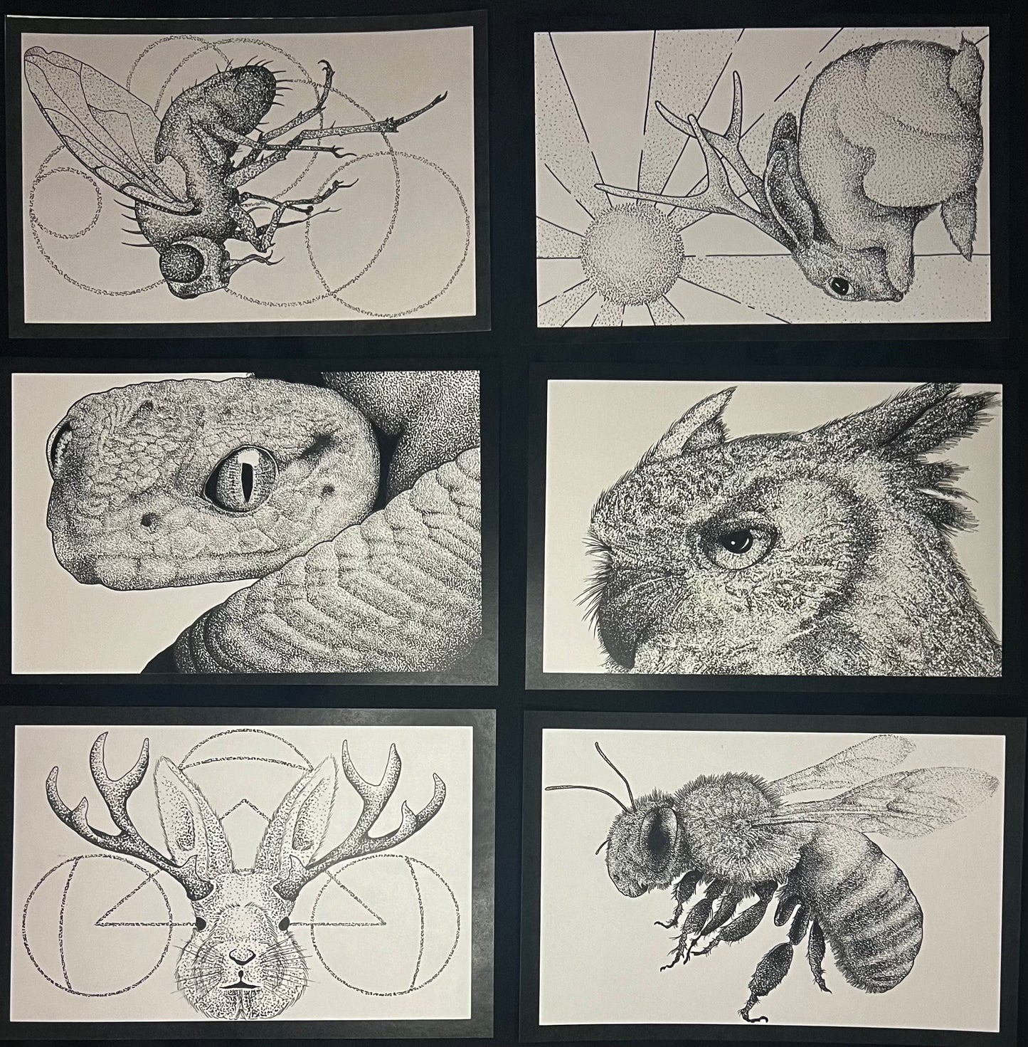 Print Pack Creatures