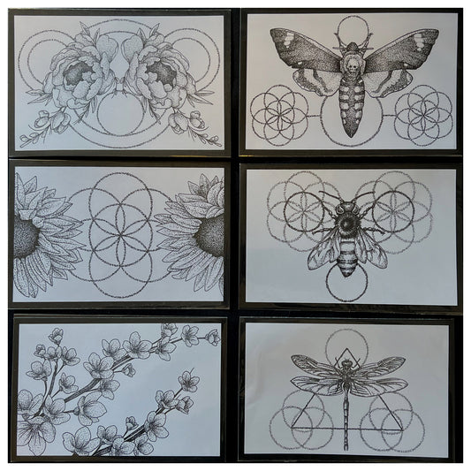 Print Pack Insect and Floral Mix
