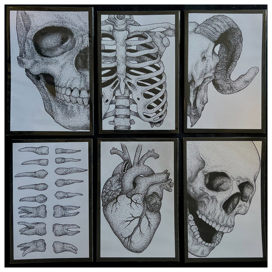 Print Pack Skeletal