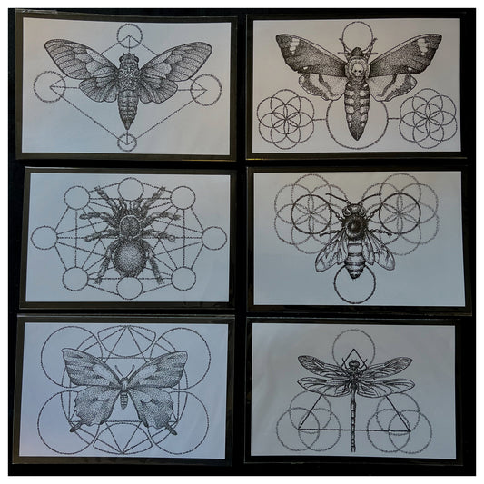 Print Pack Insects